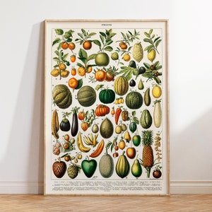 Vintage Variety of Fruits and Vegetables Print, Kitchen Wall Art, Antique Grocery Art Print, Farm House Decor, 1800s, Gift for Vegans