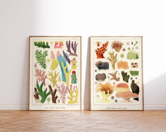 Great Barrier Reef Korallen Kunstdrucke 2er Set, Vintage Küsten Illustrationen, Reproduktionen nautischer Zeichnungen, Unterwasser Galerie Wandkunst