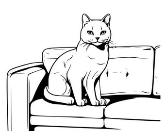 A Cat sitting in a sofa
