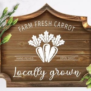 Farm Fresh Carrot Cut File, Hand Picked, Open Daily, Easter SVG,