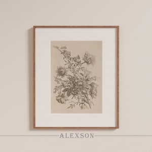 May include: A framed black and white botanical illustration of a flower with delicate petals and leaves.