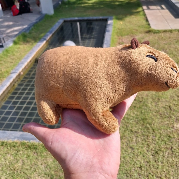 Capybaras Plush Etsy Australia