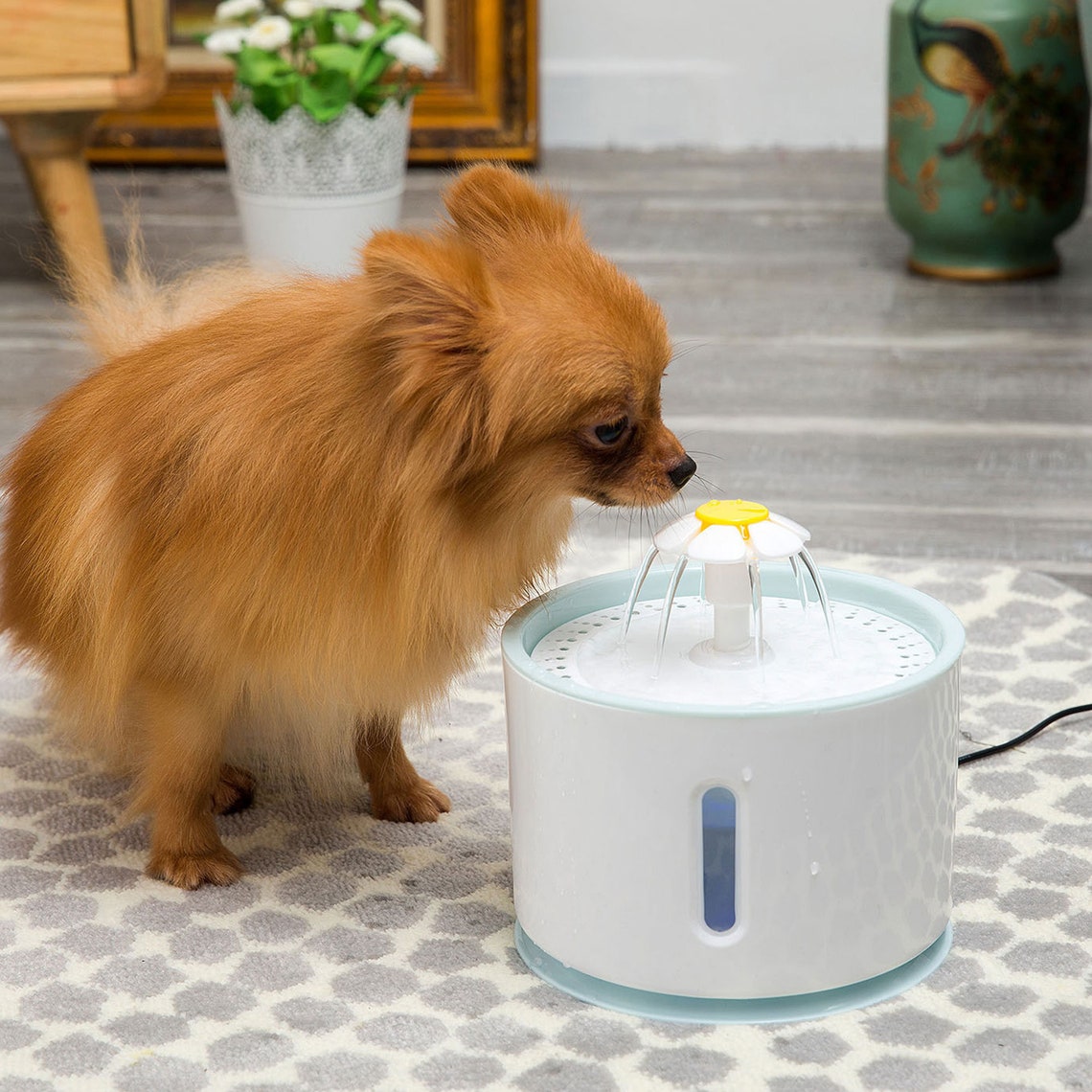 Automatic Pet Water Dispenser Etsy