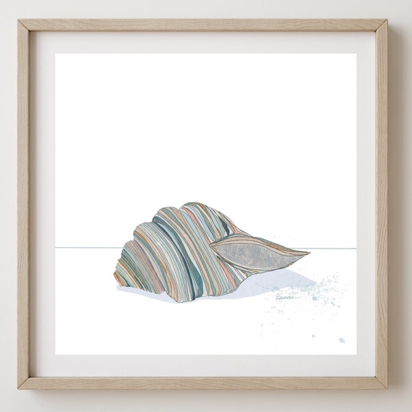 Seashell Art Print, Giclée Print, Abstract Seashell, Watercolour Washes, Wall Art print, Art for Gift, Museum Quality Paper