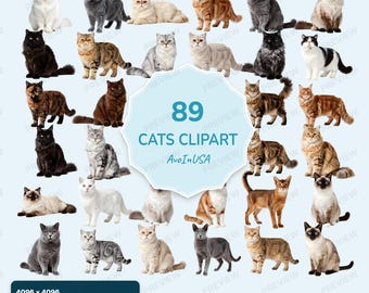 89 Realistic Cats Clipart PNG Bundle, Cat Images Transparent Background (Digital Download)