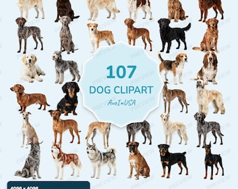 107 Realistic Dogs Clipart PNG Bundle, Dog Images Transparent Background (Digital Download)