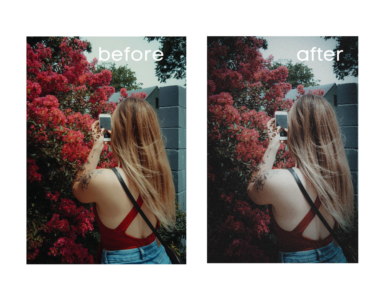 DISPOSABLE CAMERA Filter 3 Lightroom Mobile Presets Polaroid Etsy
