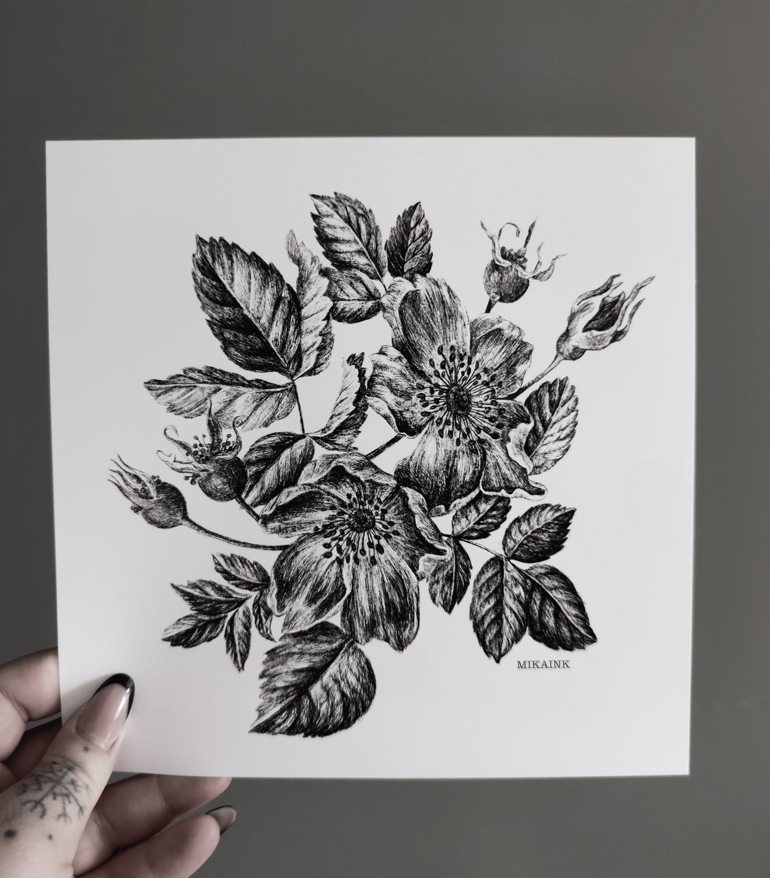 Wild Rose Square Botanical Art Print 20x20cm - Etsy