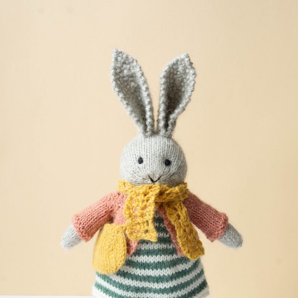 Knit Bunny Rabbit   plush animal with clothes  soft toy with outfit amigurumi Hase gestrickte Tiere Kaninchen