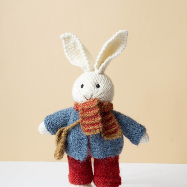 Knit Bunny Rabbit   plush animal with clothes  soft toy with outfit amigurumi Hase gestrickte Tiere Kaninchen