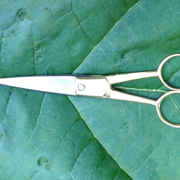 PARVEEN Scissors- Scrap booking, Hair dressing,  paper cutting and craft size.