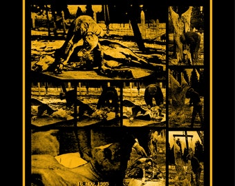 Mad Cow Disease Control POSTER!