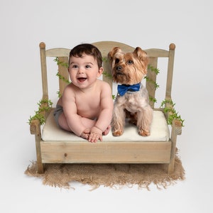 Newborn Baby Bench Digital Backdrop