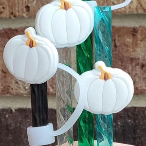 Fall White Pumpkin Straw Charm or Topper | Cup Accessories | Gift