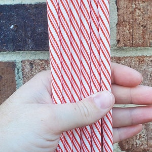 10 Inch Plastic Red And White Candy Cane Striped Christmas Reusable Straw | Holiday | Gift | Coffee