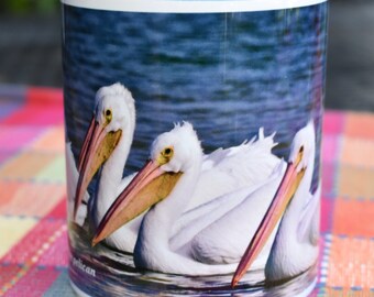 Pelícano blanco americano Taza