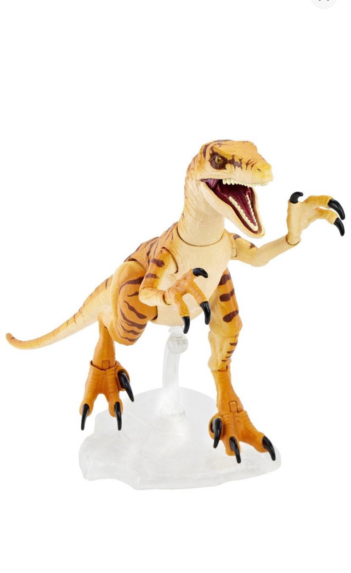 velociraptor tiger