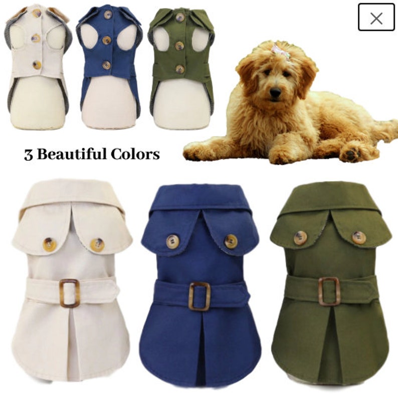 dog in a trench coat