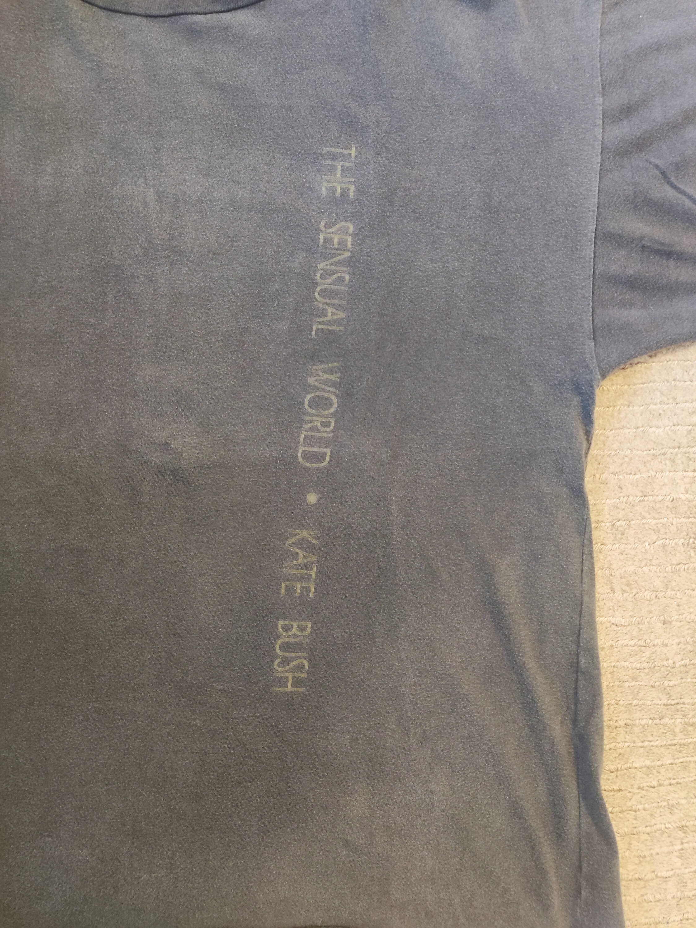 Kate Bush T-shirt the Sensual World With Backprint 1989 Original - Etsy