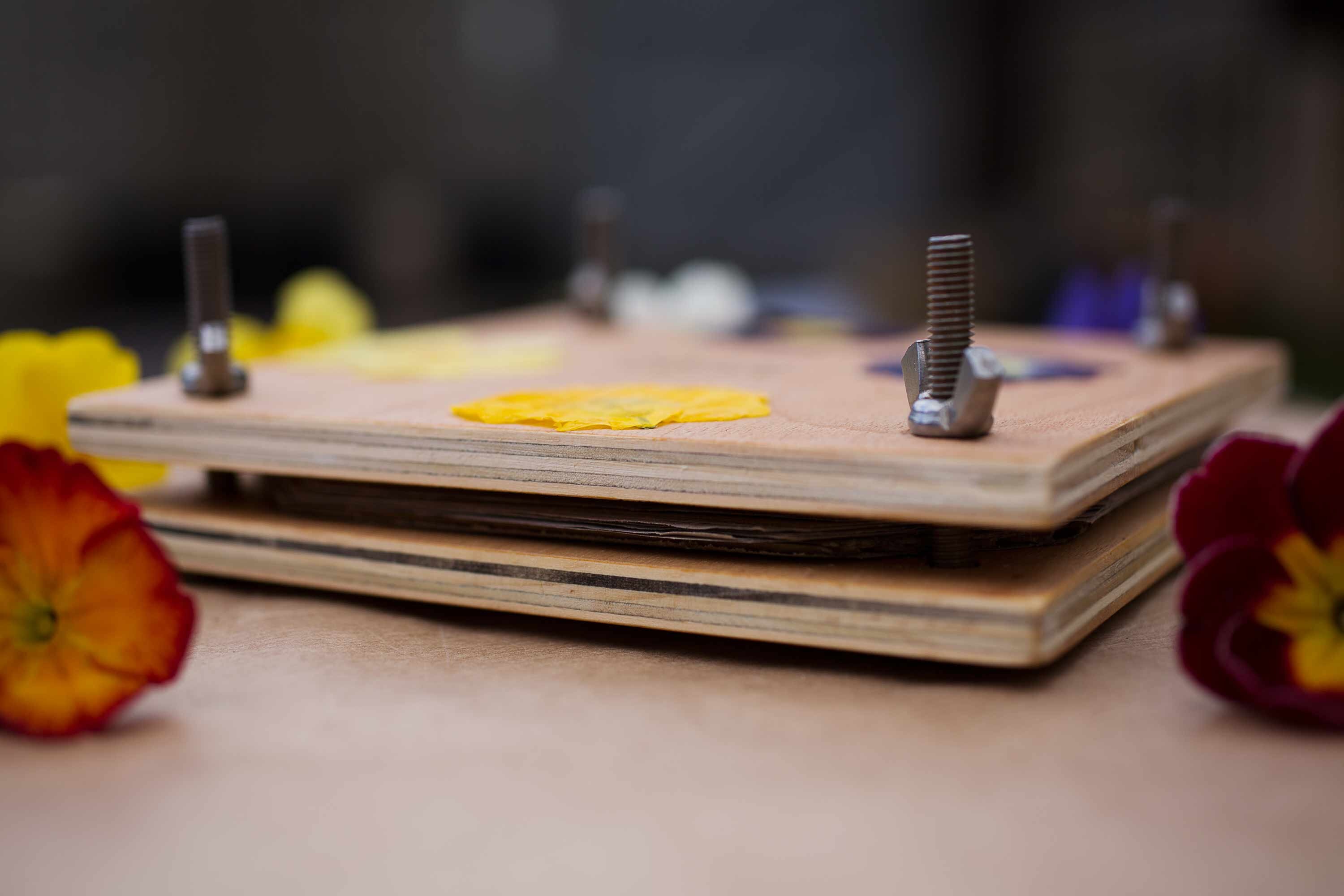 Flower Press Flower Press Kit Flower Press Frame Birthday Etsy