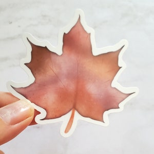 StickerTalk Maple Leaf Toronto Canada Vinyl Sticker, 4.5 Inches x 5 Inches