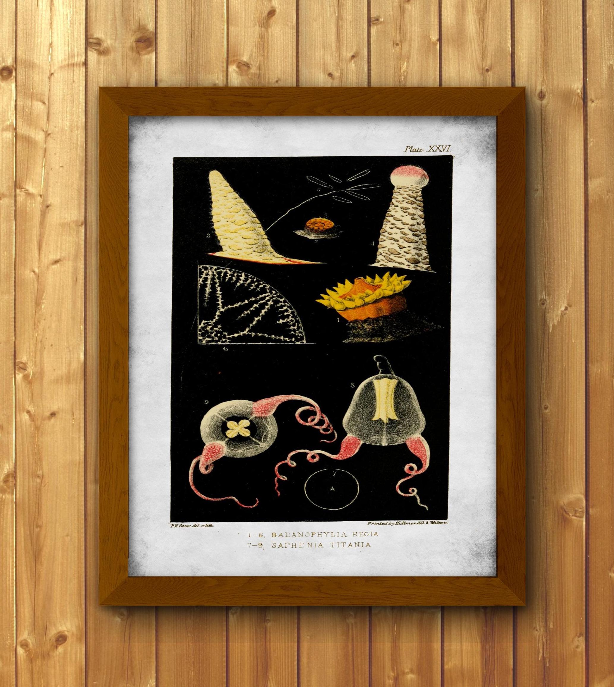 ⭐️値下げ　ARTISTS JAPAN1〜60 Artist Jp - Etsy