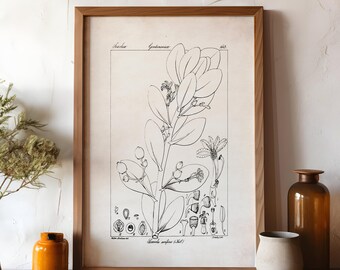 Scientific Botanical Illustration, Farmhouse Flower Print, Black and White Plant Poster, Neutral Wall Art, Cottagecore Floral Drawing, P5