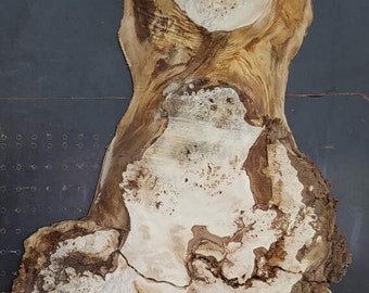 May include: A large, irregularly shaped piece of wood with a light brown and white color. The wood has a unique, natural pattern and texture. The number "40" is written in blue ink on the wood.