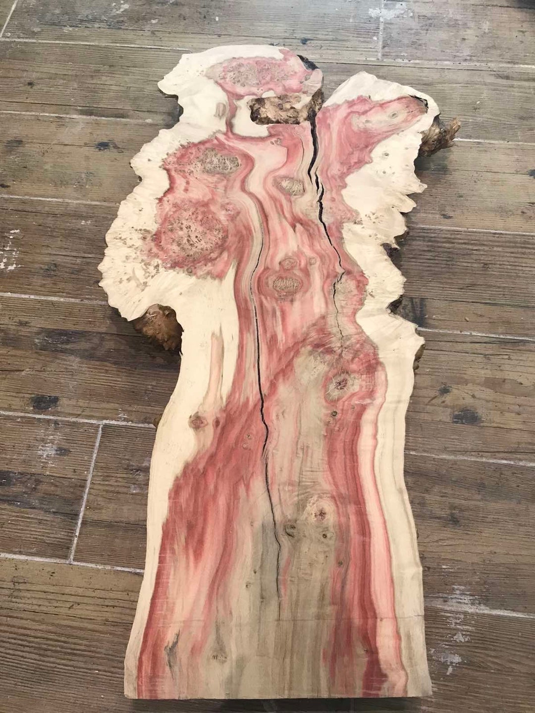 Maple Burl. Woodworking Burl. Epoxy Craft. Live Edge Wood. Burl Wood. Burl Slab. Dried Wood Slab