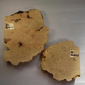 Set of burl wood. Burl wood. DIY crafts. Dried burl slabs. Woodworking. Epoxy. Resin casting. Stabilisation. Maple burl. Wooden art