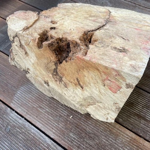 Maple burl. 13.4“ Burl wood piece. Burl. Maple wood. Birdseye maple burl. Natural burl.Flame red burl. Burl art. Burl turning. Buck eye burl
