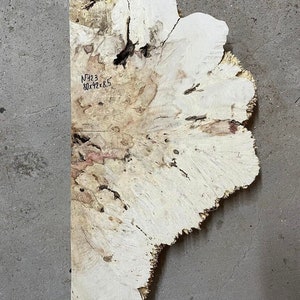 May include: A large, white, and brown burl wood slab with a unique, natural pattern. The slab is approximately 80 inches long, 42 inches wide, and 8.5 inches thick. The wood has a natural, rustic look and feel.