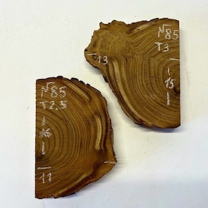 May include: Two pieces of wood with a natural brown color and a wood grain pattern. The wood is cut in a circular shape and has white markings on the surface. The markings include the numbers "85" and "2.5" and the letters "T" and "N".