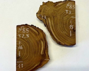 Oleaster Wood Slab: Rustic Live Edge Wood Slice for DIY Projects