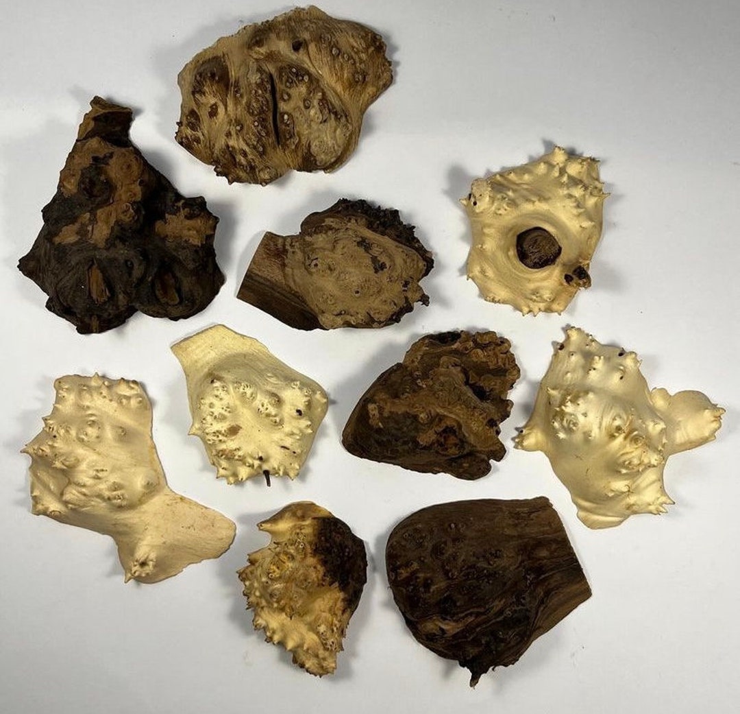 Set of Burl Wood. Burl Wood. Live Edge Wood. Burls Mix. Olive Wood