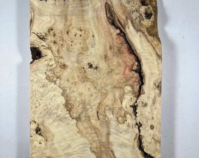 Burl Wood. Burl Resin Slab. Live Edge Craft Board. Burl Plank With Live ...