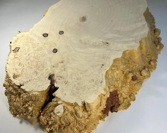 Maple Burl Wood Slab: Live Edge Resin Art - Dried