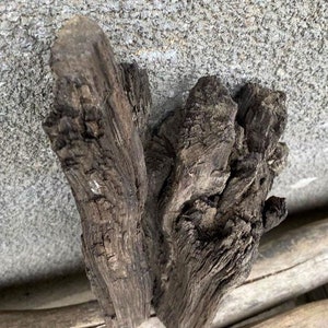 Bog oak. Morta wood blank. Black bog oak slab. Wood turning block. Old oak wood. Tree trunk. Rustic wood. Wood art. Centrepiece. Resin. DIY