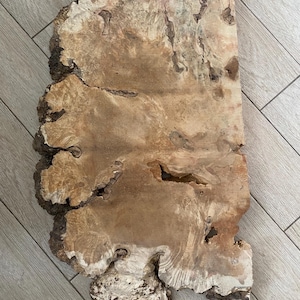 May include: A large, irregularly shaped piece of wood with a natural edge. The wood has a light brown color with areas of white and darker brown. The surface has a rough texture with several holes and cracks. This piece could be used for woodworking projects.