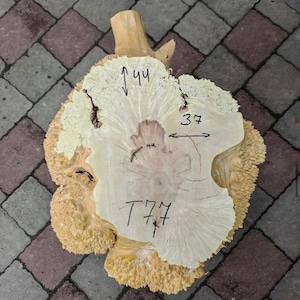 Puede incluir: Una gran rebanada de madera de color claro con un patrón de veta único. La rebanada tiene 37 pulgadas de ancho y 44 pulgadas de alto. El texto "777" está escrito en la rebanada.