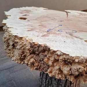 May include: A large, natural wood slab with a unique, burled texture. The slab is light brown in colour and has a rough, uneven surface. The slab is approximately 157 cm in diameter.