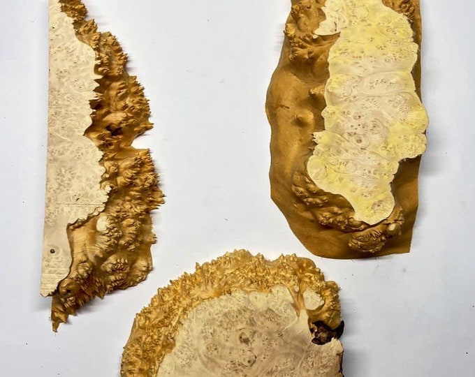 Set of Burl Wood. Burl Wood. Live Edge Wood. Dried Burl Slabs. Big