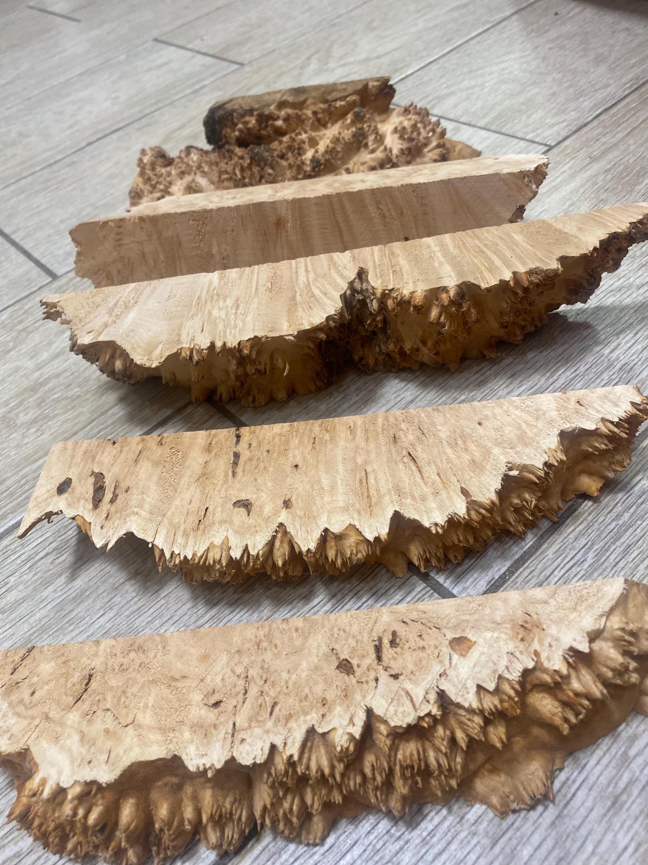 Set of burl wood. Burl wood. Live edge wood. Burls mix. Alder burls. Epoxy art. Burl crafts. Resin casting. Wood turning. Wood carving