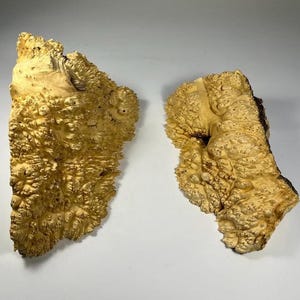 Set of burl wood. Burl wood. DIY crafts. Dried burl slabs. Woodworking. Epoxy. Resin casting. Stabilisation. Maple burl. Wooden art