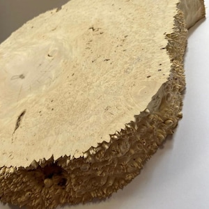 May include: A close-up of a light brown wood slice with a unique, textured edge. The wood has a natural, organic look and feel.