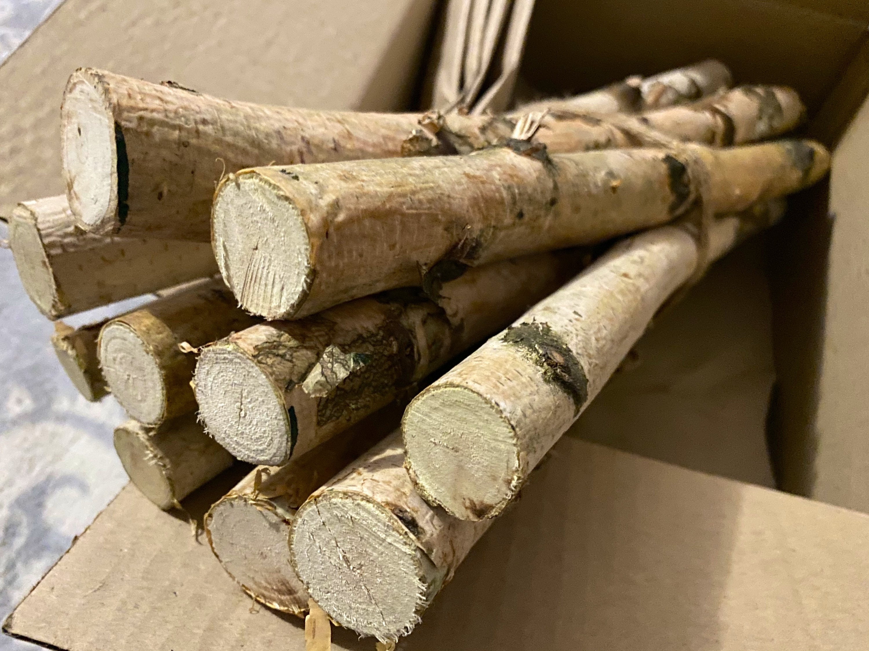 Birch Bundle of Logs. White Birch Log set for Fireplace. Etsy