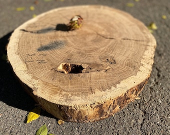 Unique Oak Wood Slice: Live Edge Slab, Rustic Decor (17.7"x20"x2.7")