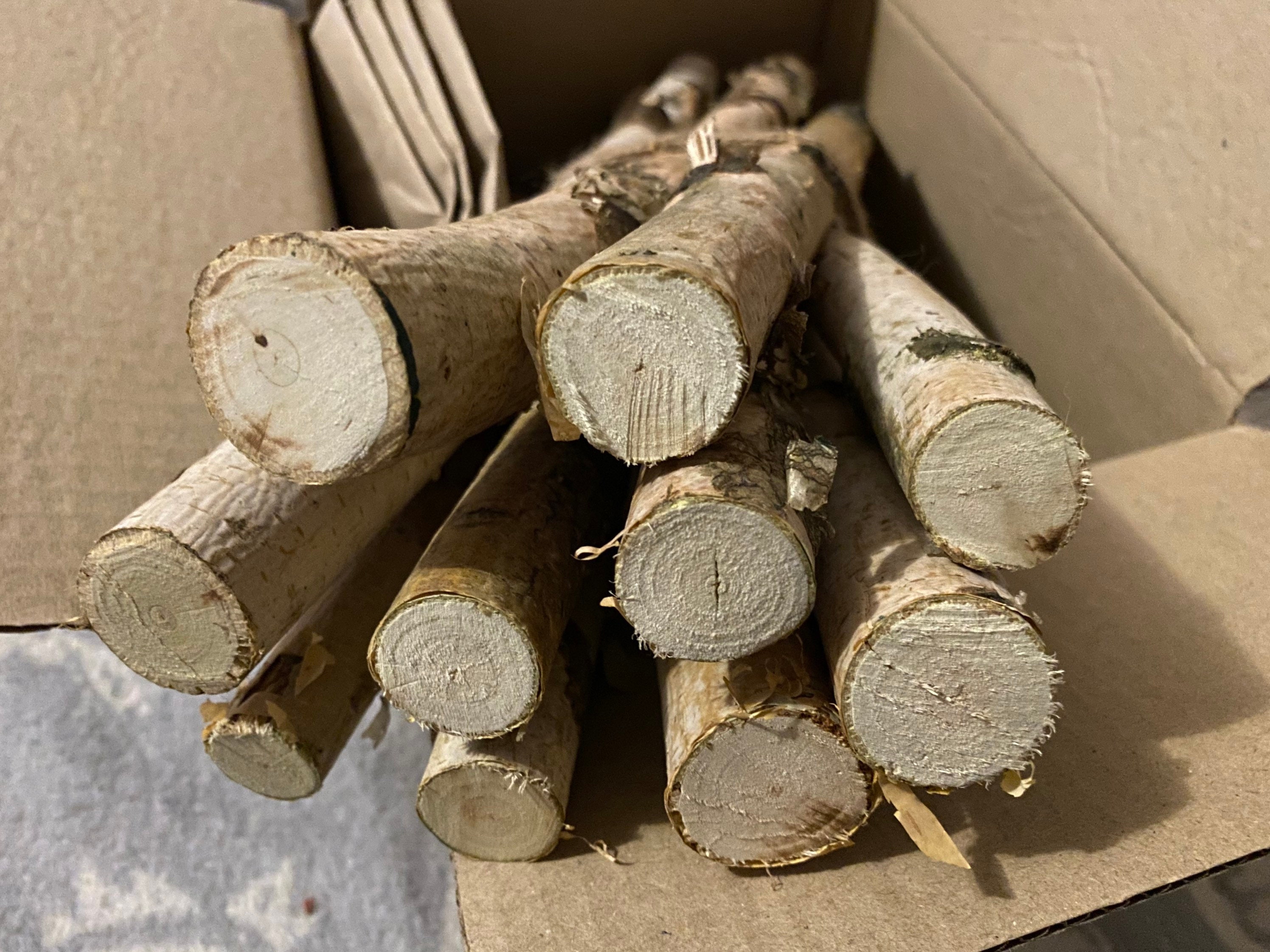 Birch Bundle of Logs. White Birch Log set for Fireplace. Etsy