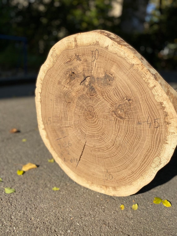 small live edge oak slab, reclaimed oak slab, salvaged oak slab, oak wood, slabs