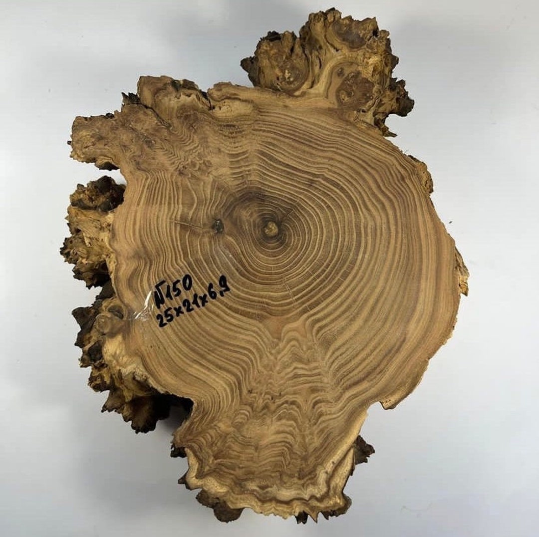 Olive Burl. Woodworking Burl. Epoxy Craft. Live Edge Wood. Burl Wood ...